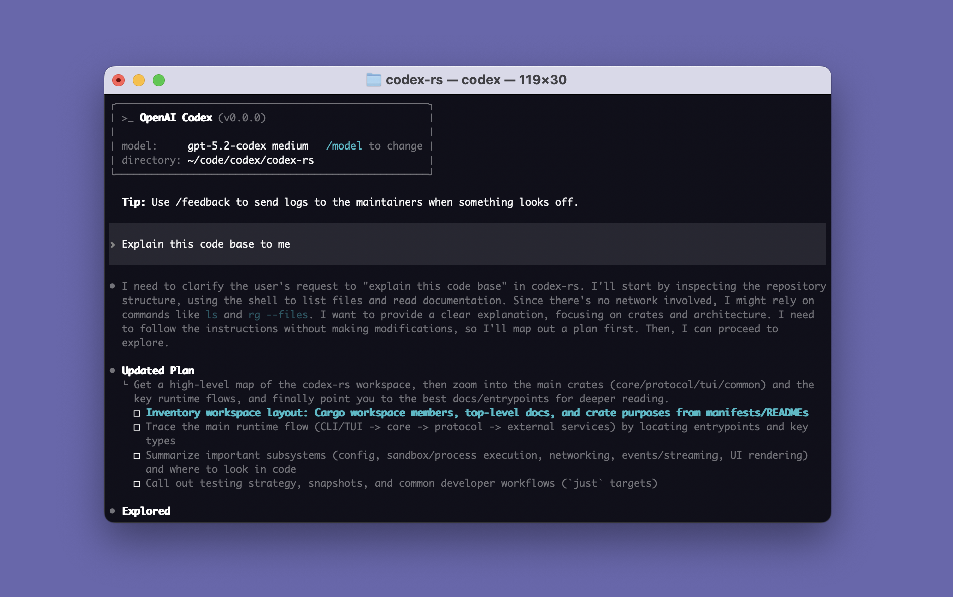 Codex CLI 工作界面